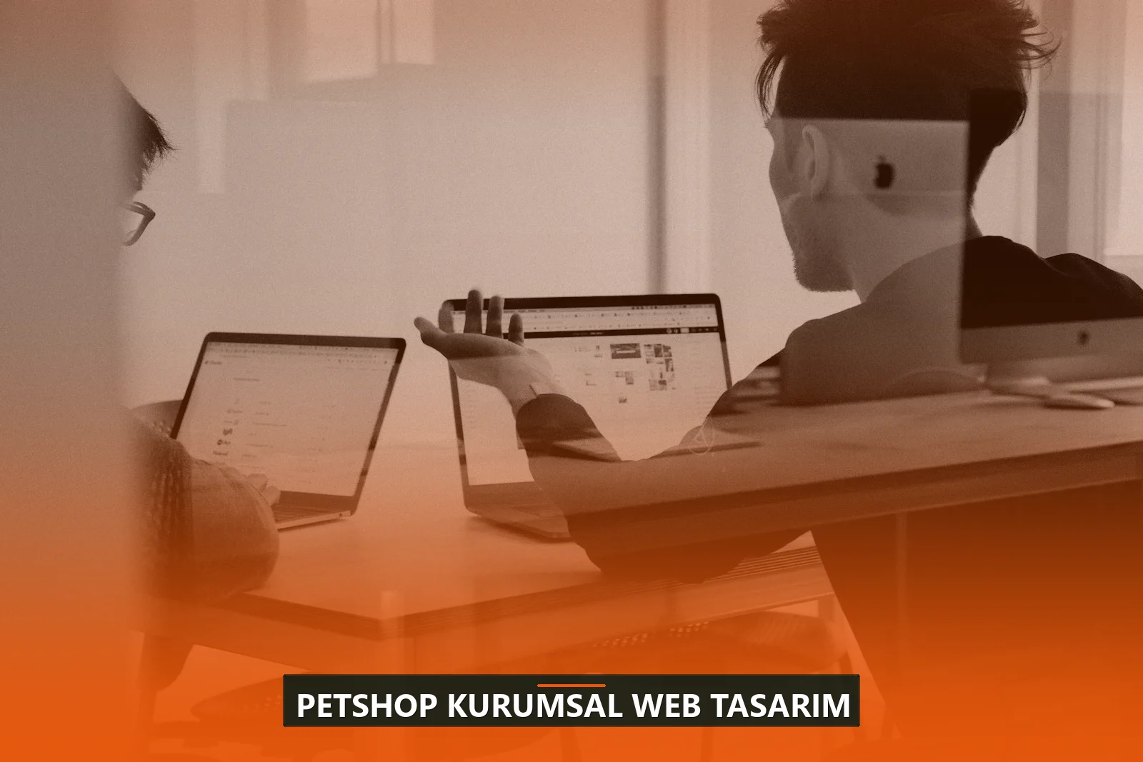 Petshop Kurumsal Web Tasarım