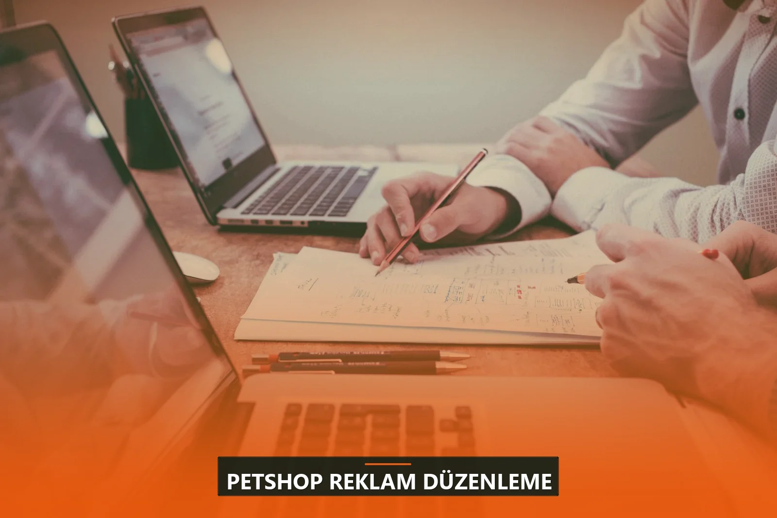 Petshop Reklam Düzenleme