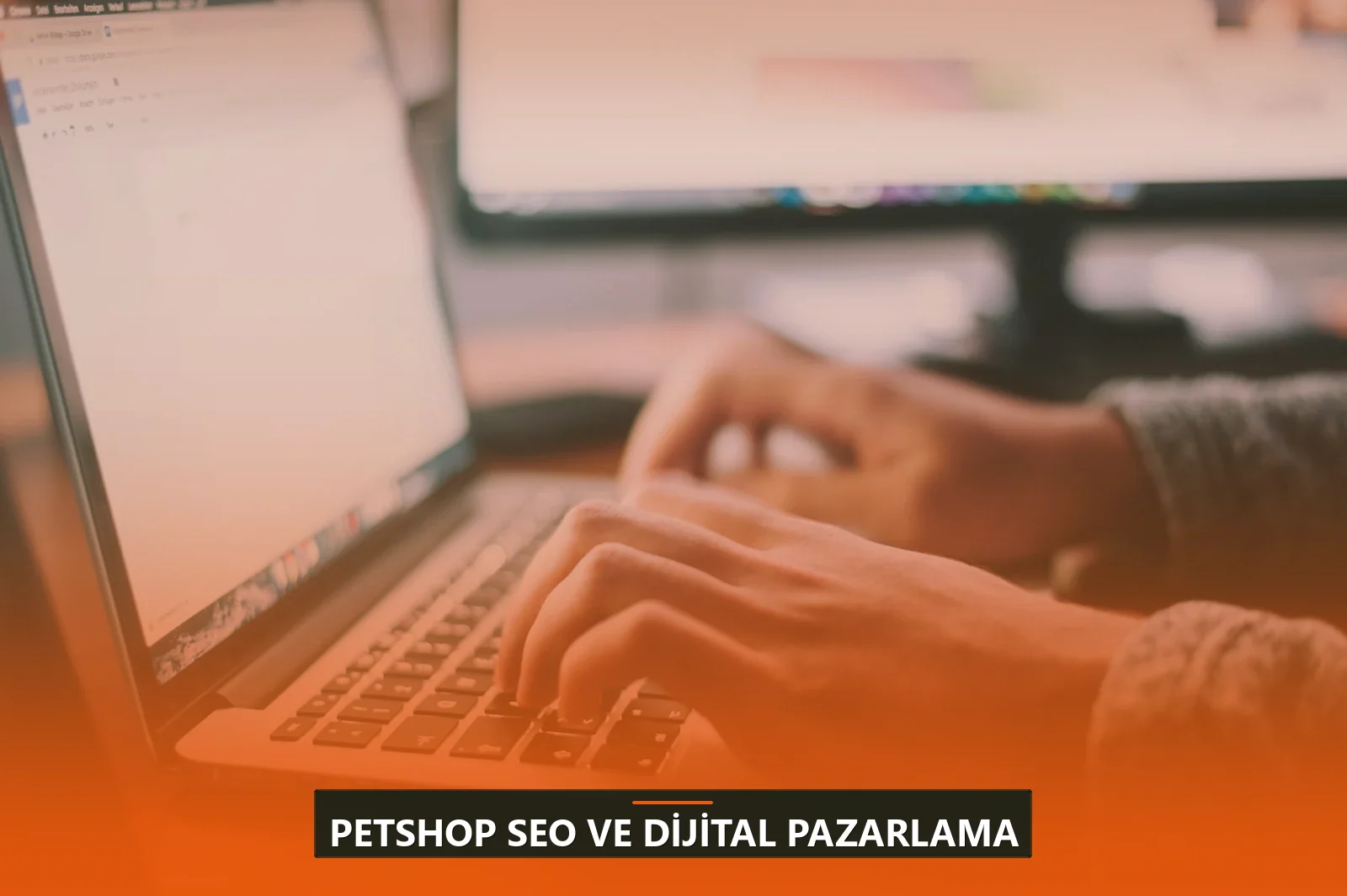 Petshop SEO ve Dijital Pazarlama